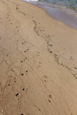 Kumdaki Akdeniz kıyısında 