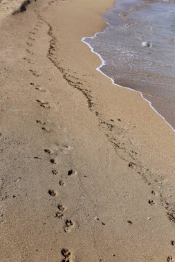 Kumdaki Akdeniz kıyısında 