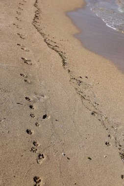 Kumdaki Akdeniz kıyısında 