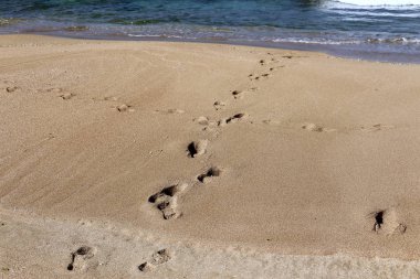 Kumdaki Akdeniz kıyısında 