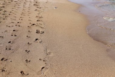 Kumdaki Akdeniz kıyısında 