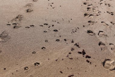 Kumdaki Akdeniz kıyısında 