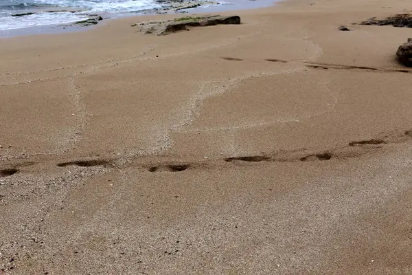 Footprints Sand Shores Mediterranean — Stock Photo, Image