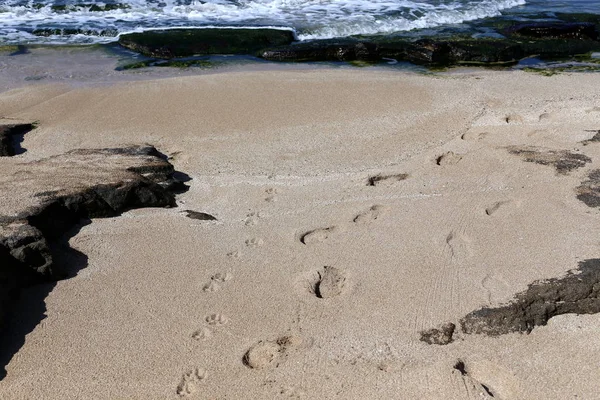 Kumdaki Akdeniz kıyısında 