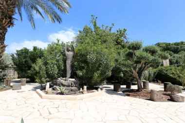 Capernaum Israil Kinneret Gölü kıyısında bulunan antik bir şehirdir. 