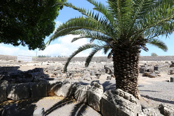 Kapernaum Ist Eine Antike Stadt Ufer Des Sees Kinneret Israel — Stockfoto