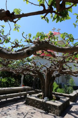 Israil 'de Kinneret Gölü kıyılarında Capernaum Milli Parkı 'nda 12 Havariler Kilisesi 