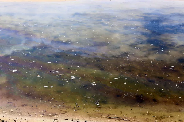 Aquarell Und Spiegelungen Vor Der Küste Flachen Wasser — Stockfoto