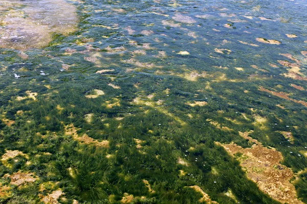 Aquarell Und Spiegelungen Vor Der Küste Flachen Wasser — Stockfoto