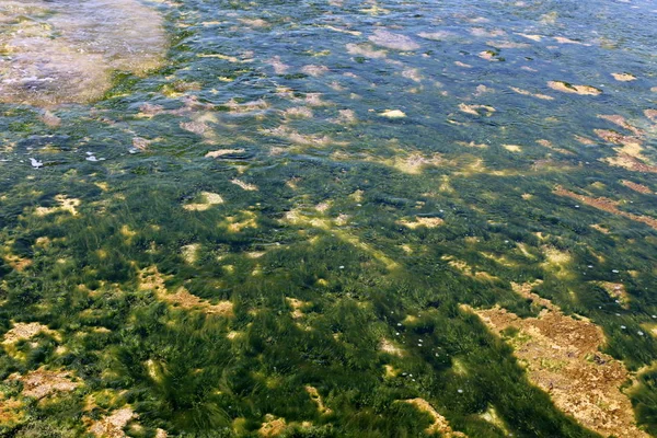 Cor Água Reflexões Mar Águas Rasas — Fotografia de Stock