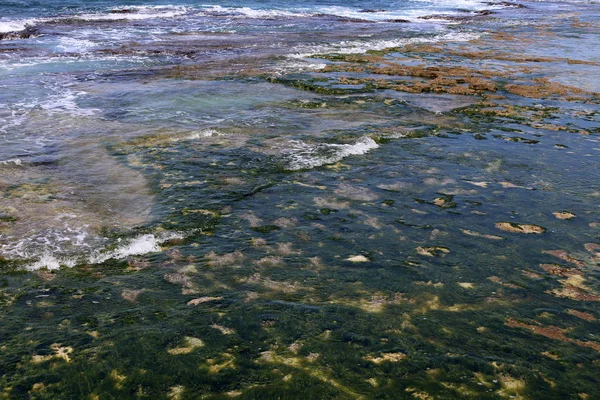 Acuarela Reflejos Mar Adentro Aguas Poco Profundas — Foto de Stock