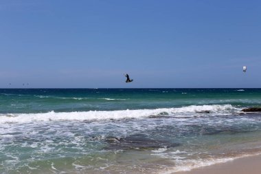 Kiteboarding-özel ışık panoları ve kanatları üzerinde Akdeniz 'de dalgalar sürme 