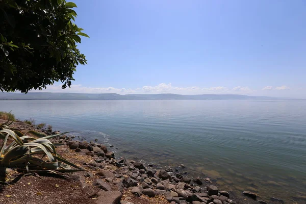Kinneret kuzeydoğu Israil 'de bir tatlı su gölünün. 