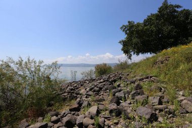Kinneret kuzeydoğu Israil 'de bir tatlı su gölünün. 