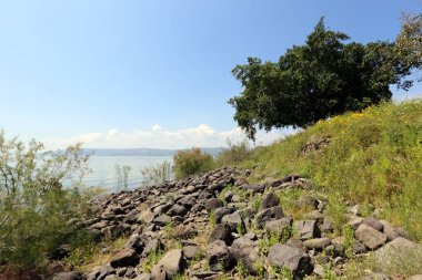 Kinneret kuzeydoğu Israil 'de bir tatlı su gölünün. 