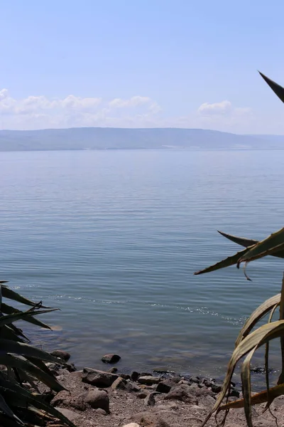 Kinneret Lago Água Doce Nordeste Israel — Fotografia de Stock