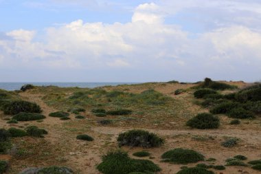 Akdeniz'de İsrail devletinin kuzey kıyısında 