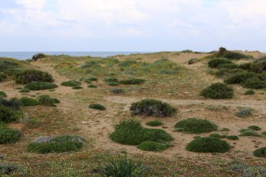 Akdeniz'de İsrail devletinin kuzey kıyısında 