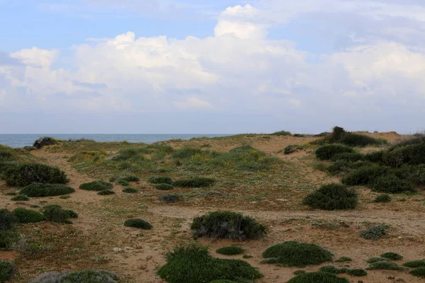 Akdeniz'de İsrail devletinin kuzey kıyısında 