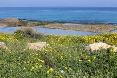 Akdeniz'de İsrail devletinin kuzey kıyısında 