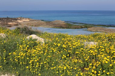 Akdeniz'de İsrail devletinin kuzey kıyısında 