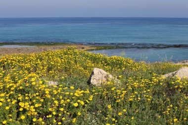 Akdeniz'de İsrail devletinin kuzey kıyısında 