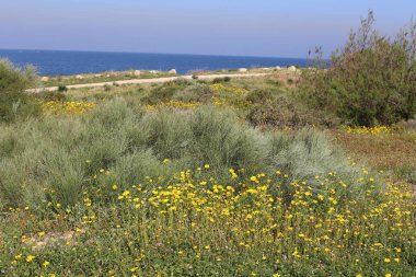 Akdeniz'de İsrail devletinin kuzey kıyısında 