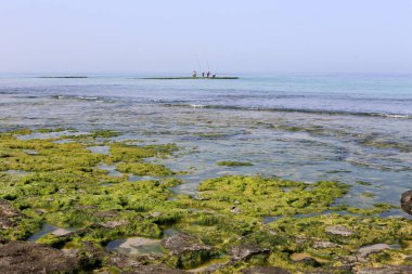 Akdeniz'de İsrail devletinin kuzey kıyısında 