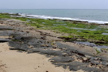 Akdeniz'de İsrail devletinin kuzey kıyısında 