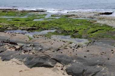 Akdeniz'de İsrail devletinin kuzey kıyısında 