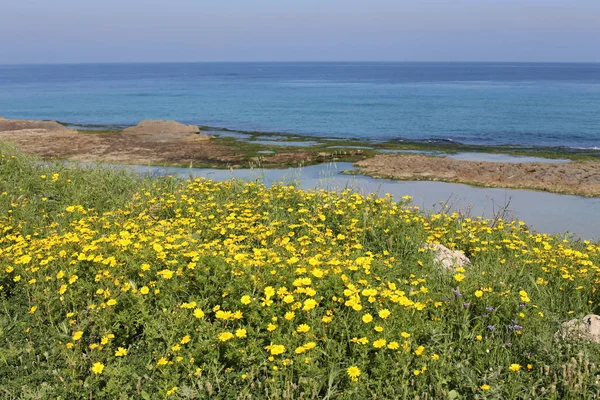 Costa Del Mar Mediterraneo Nel Nord Dello Stato Israele — Foto Stock