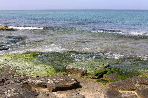 Costa Del Mar Mediterráneo Norte Del Estado Israel — Foto de Stock