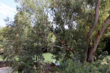 Ürdün - Orta Doğu'da bir nehir, nehir İsa Mesih'in sularında vaftiz edildi. 