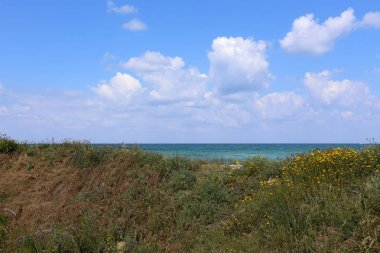 Akdeniz'de İsrail devletinin kuzey kıyısında  