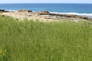Akdeniz'de İsrail devletinin kuzey kıyısında  