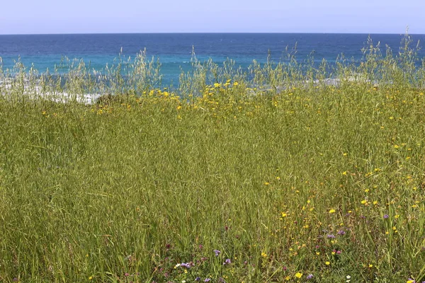 Costa Del Mar Mediterraneo Nel Nord Dello Stato Israele — Foto Stock