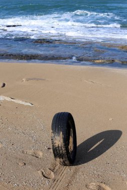 mühendislik ve doğada tekerleğin kullanımı 