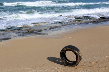 mühendislik ve doğada tekerleğin kullanımı 