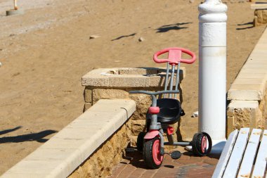 mühendislik ve doğada tekerleğin kullanımı 