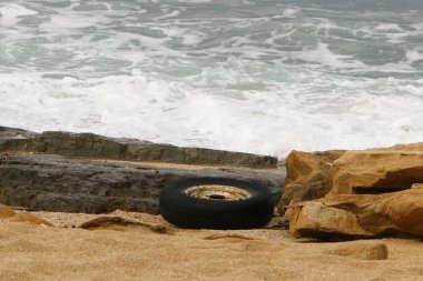 mühendislik ve doğada tekerleğin kullanımı 