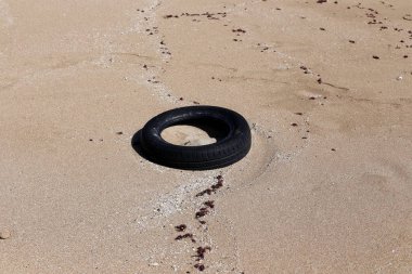 mühendislik ve doğada tekerleğin kullanımı 