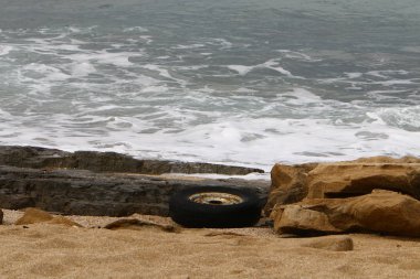 mühendislik ve doğada tekerleğin kullanımı 