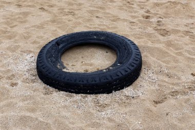 mühendislik ve doğada tekerleğin kullanımı 