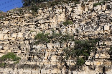 taş doku - katı madde yapısı ve konumu, parçalarının niteliği. 