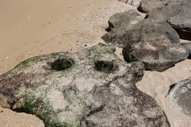 taş doku - katı madde yapısı ve konumu, parçalarının niteliği. 