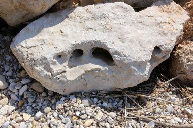 taş doku - katı madde yapısı ve konumu, parçalarının niteliği. 