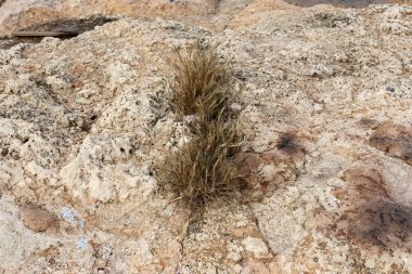 taş doku - katı madde yapısı ve konumu, parçalarının niteliği. 