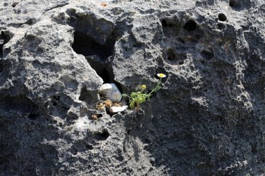 taş doku - katı madde yapısı ve konumu, parçalarının niteliği. 