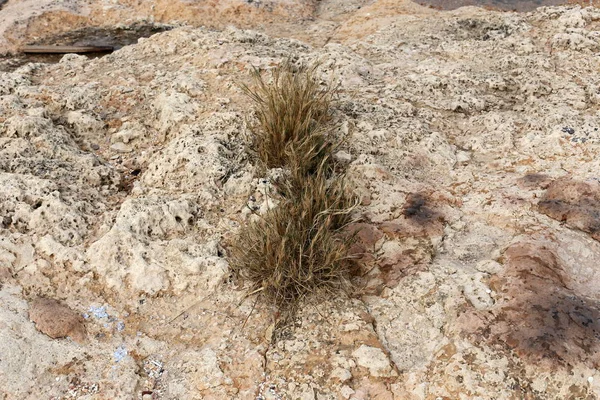 taş doku - katı madde yapısı ve konumu, parçalarının niteliği. 