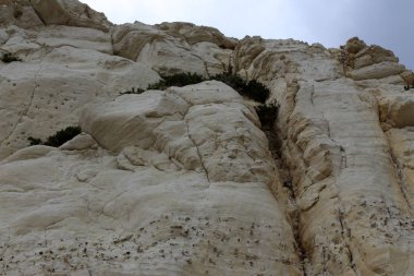 taş doku - katı madde yapısı ve konumu, parçalarının niteliği. 